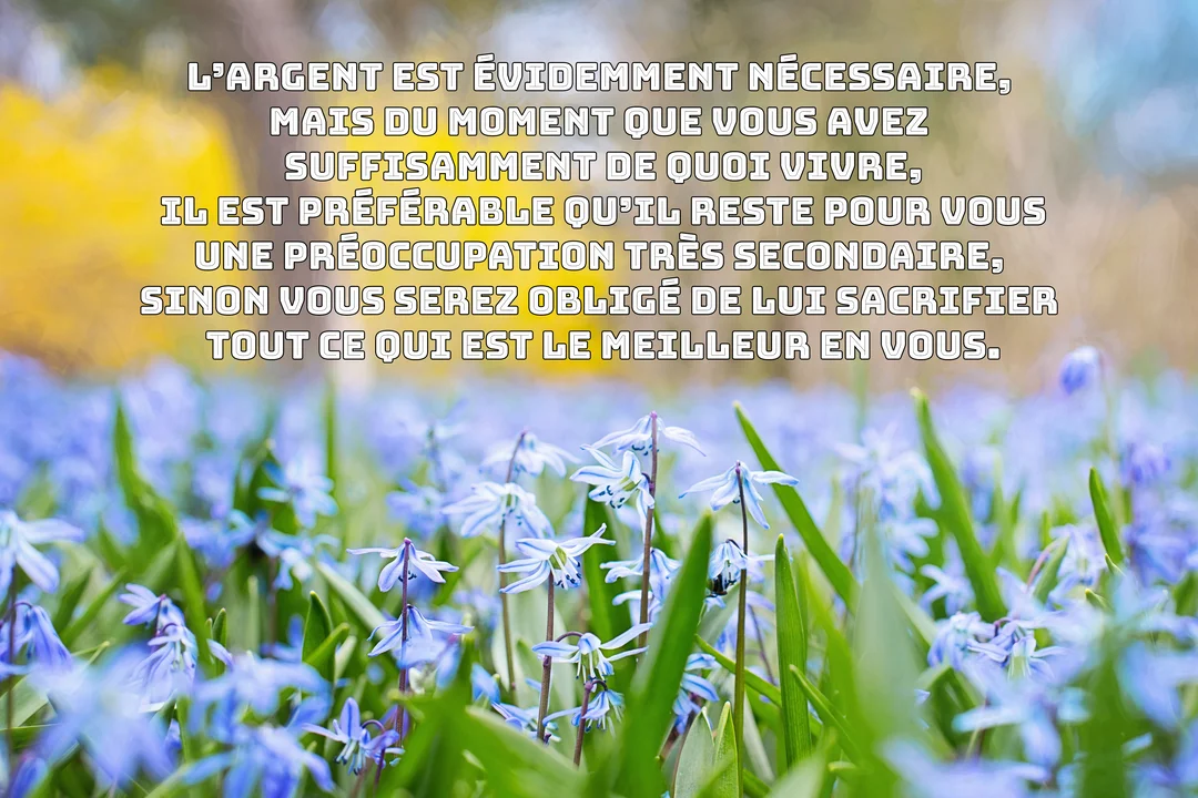Une citation philosophique sur l'argent superposée à une photographie d'un parterre de fleurs bleues et de feuilles vertes, avec un fond flou.