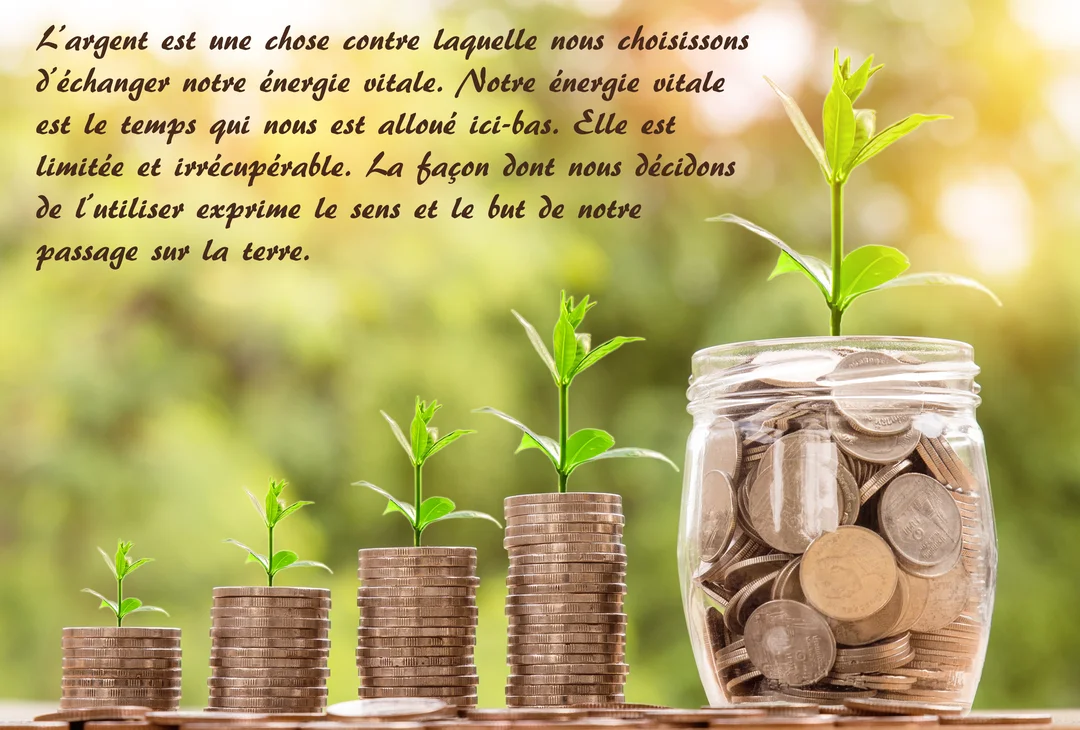 Des piles de pièces de monnaie de hauteurs croissantes, surmontées de jeunes plantes vertes, avec un bocal rempli de pièces à droite.