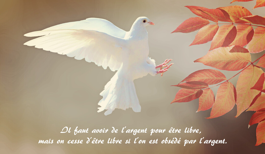Une colombe blanche, les ailes déployées, s'approche d'une branche aux feuilles rouges sur un fond dégradé de couleur sépia.