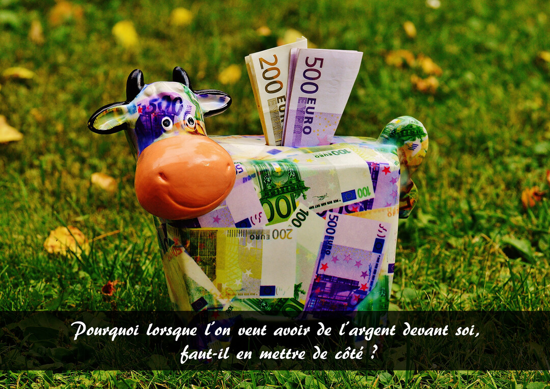 Une photographie d'une tirelire-vache, ornée de motifs de billets d'euros, posée dans l'herbe avec de vrais billets sortant de sa fente.