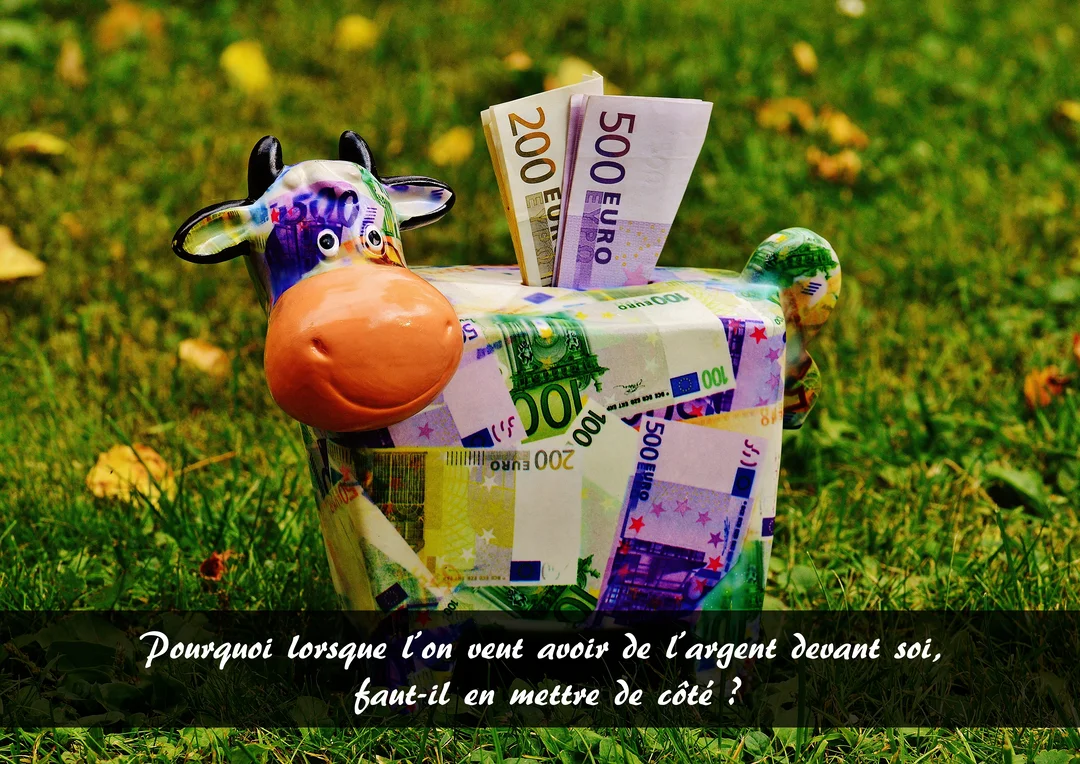 Une photographie d'une tirelire-vache, ornée de motifs de billets d'euros, posée dans l'herbe avec de vrais billets sortant de sa fente.
