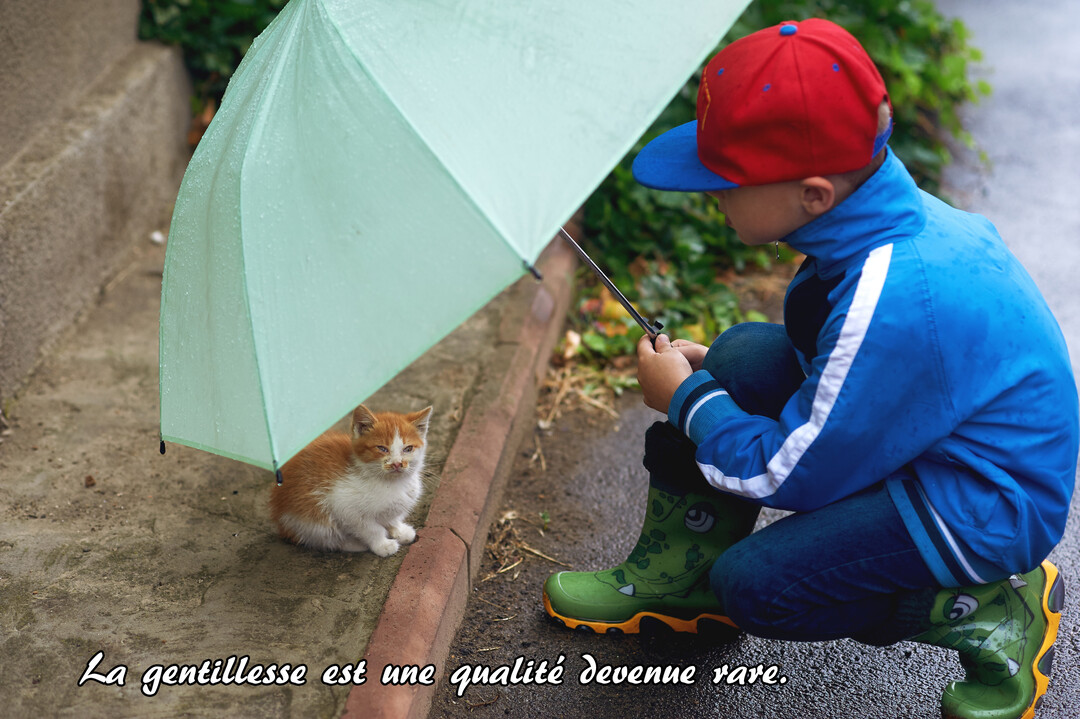 Un jeune garçon accroupi tient un parapluie vert au-dessus d'un petit chaton roux pour le protéger de la pluie sur un trottoir.
