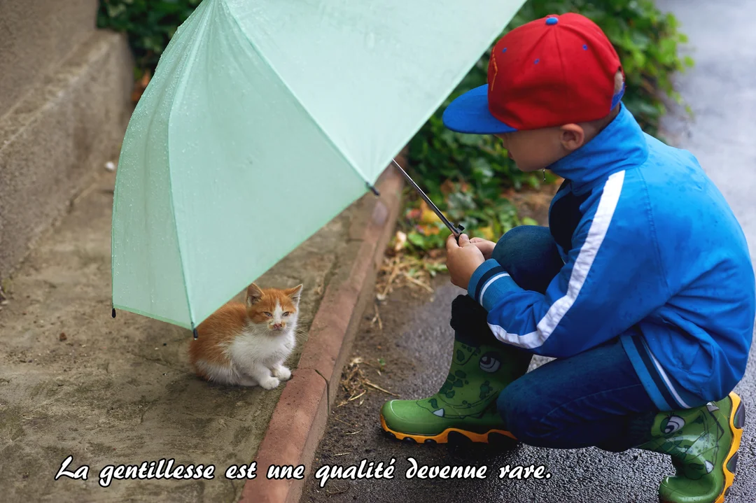 Un jeune garçon accroupi tient un parapluie vert au-dessus d'un petit chaton roux pour le protéger de la pluie sur un trottoir.