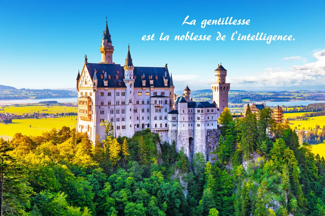 Un grand château de conte de fées blanc est perché sur une colline verdoyante, dominant un paysage de champs et de lacs.