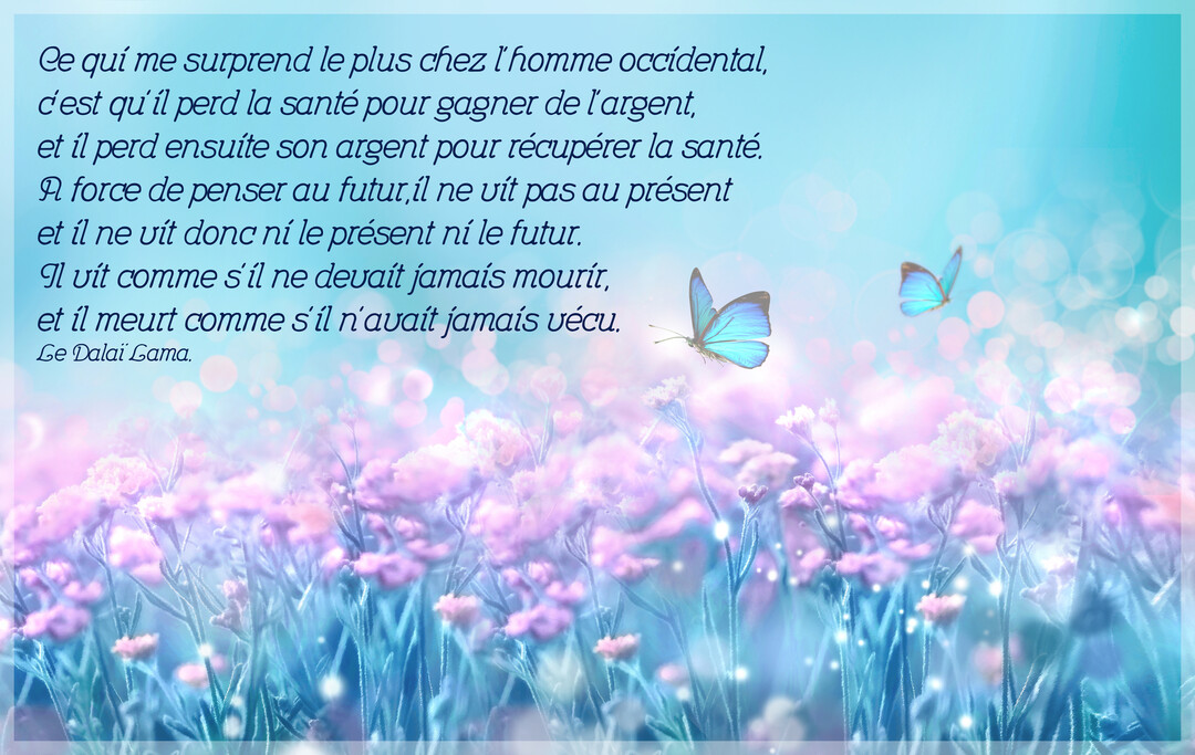 Une citation philosophique est inscrite sur un ciel bleu au-dessus d'un champ de fleurs roses et violettes où volent deux papillons bleus.
