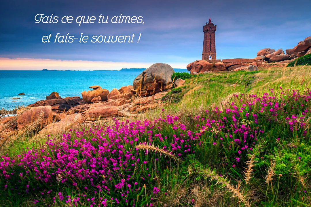 Un phare en granit rose se dresse sur une côte rocheuse bretonne, avec la mer et des fleurs de bruyère violettes au premier plan.