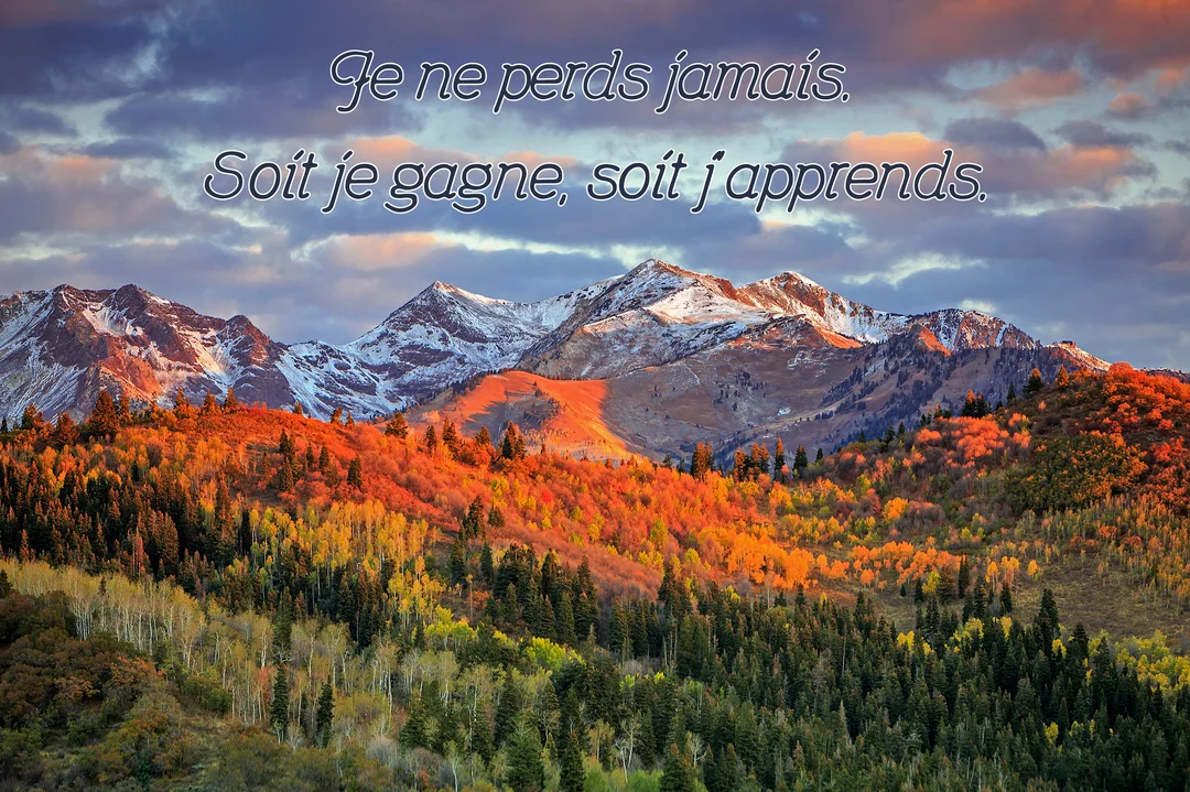 Un majestueux paysage de montagnes enneigées surplombe une forêt aux couleurs vives de l'automne, sous un ciel nuageux au crépuscule.