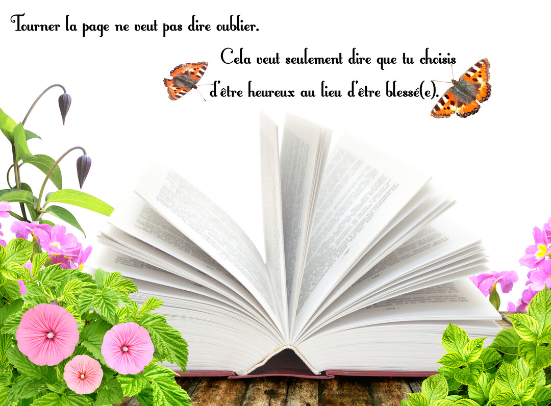 Un livre ouvert repose sur du bois, encadré par des fleurs roses et du feuillage vert, tandis que deux papillons volètent au-dessus.