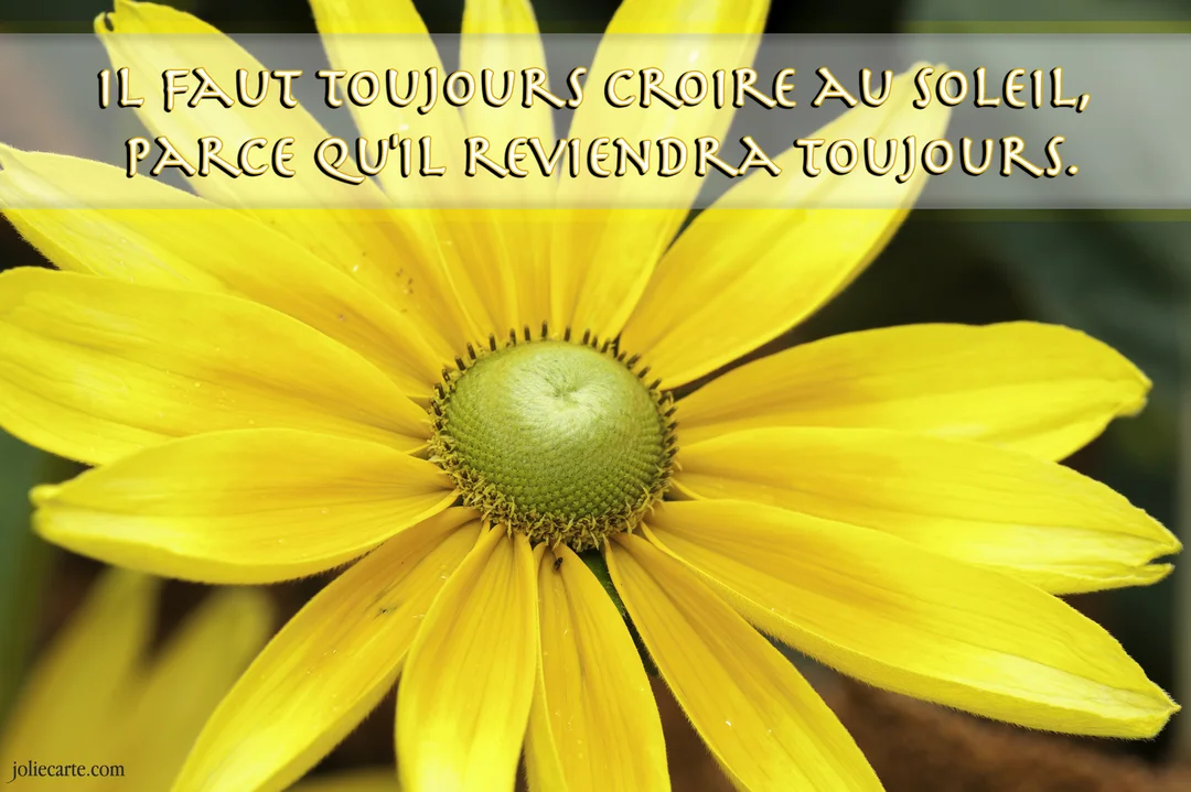 Gros plan sur une fleur de rudbeckia jaune vif, son cœur vert entouré de pétales rayonnants, avec une citation inspirante superposée.