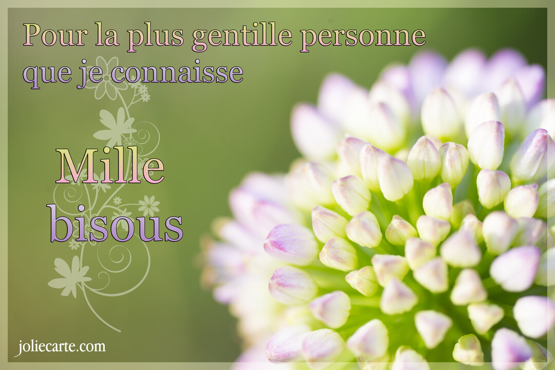 Une carte illustrée d'une fleur d'ail en macro, avec un texte affectueux sur la gentillesse sur un fond vert doux.