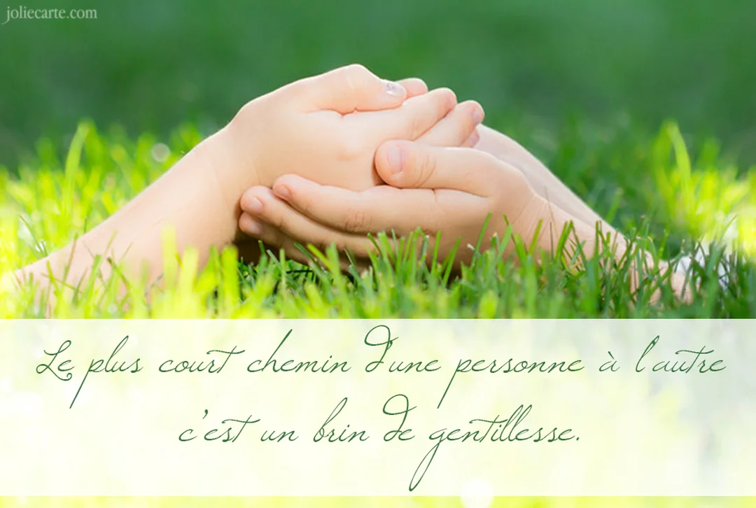 Des mains d'enfant reposent délicatement dans les paumes de mains d'adulte, sur un fond d'herbe verte et fraîche sous une lumière douce.