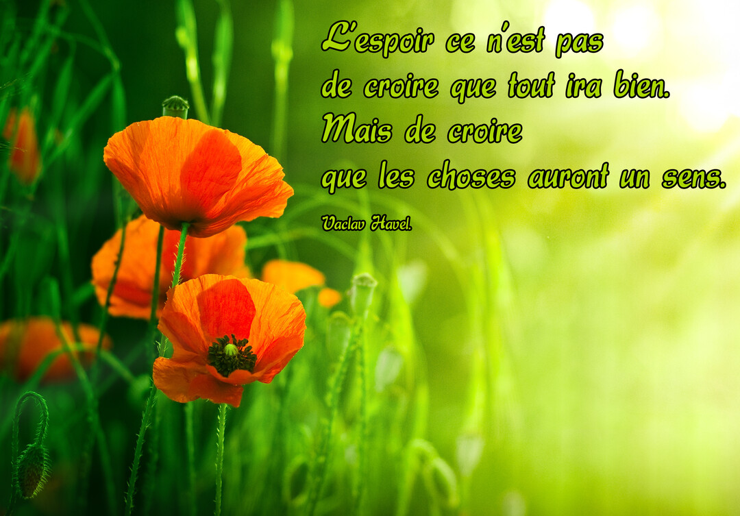 Une photographie de coquelicots orange vifs sur un fond de verdure flou et lumineux, avec une citation philosophique sur l'espoir superposée.