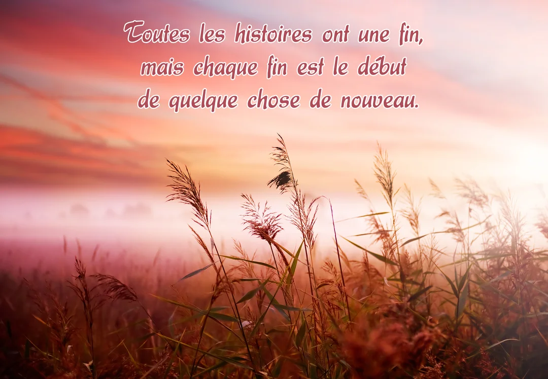 Un champ de hautes herbes sèches et de roseaux se détache sur un ciel brumeux aux couleurs chaudes d'un lever de soleil.