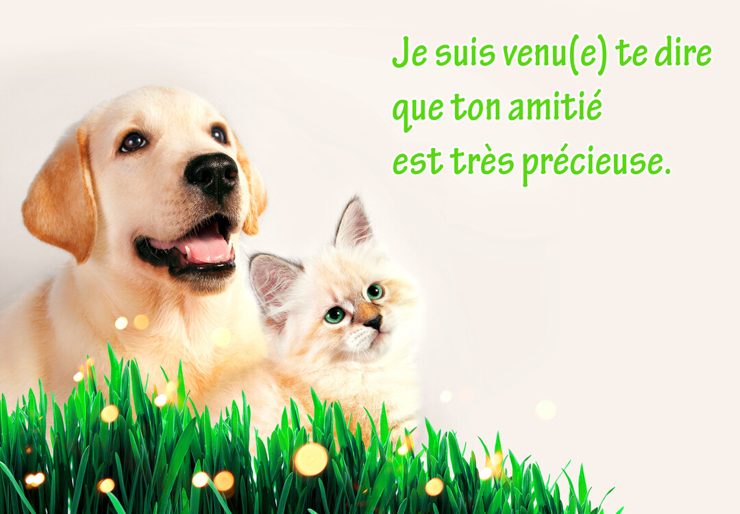 Un chiot labrador doré et un chaton crème aux yeux verts sont assis côte à côte dans l'herbe sur un fond clair et lumineux.