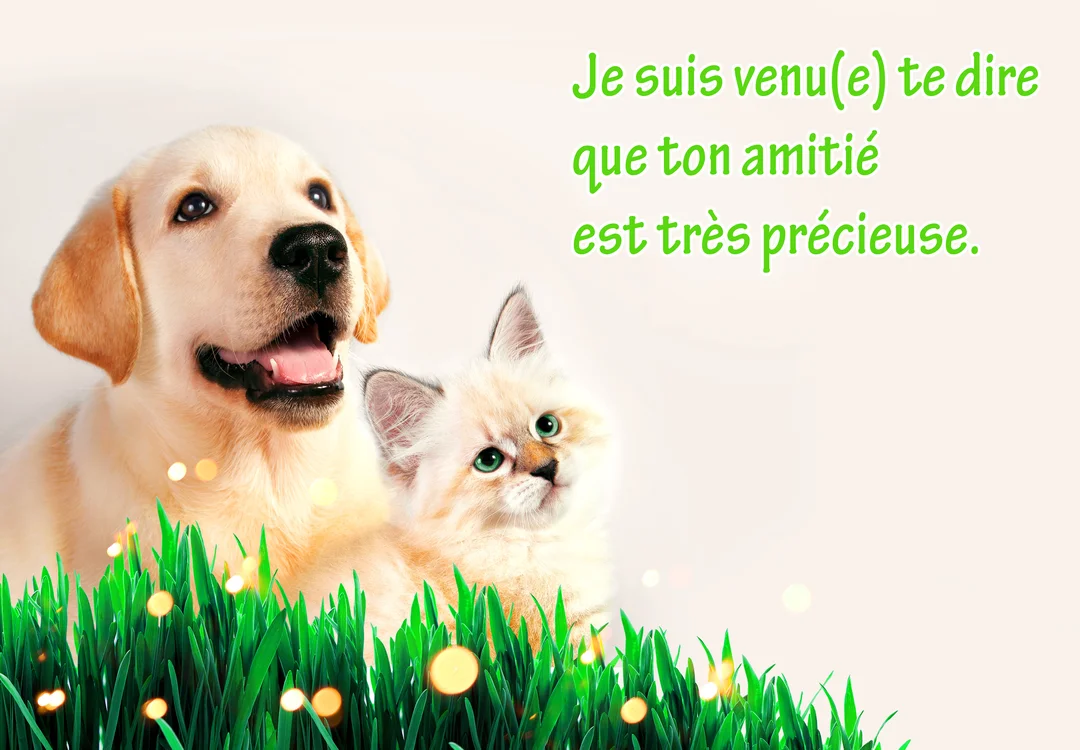 Un chiot labrador doré et un chaton crème aux yeux verts sont assis côte à côte dans l'herbe sur un fond clair et lumineux.