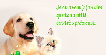 Aperçu de la carte : « ... ton amitié est très précieuse. »