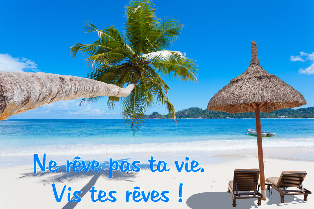 Une plage de sable blanc bordée d'une mer turquoise, avec un palmier penché, un parasol de paille et deux transats vides.