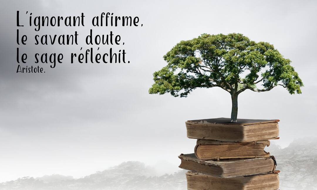 Un arbre vert luxuriant pousse au sommet d'une pile de livres anciens, sur un fond de ciel brumeux et gris.