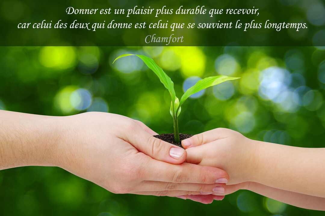 Les mains d'un adulte et d'un enfant tiennent ensemble une petite plante verte avec de la terre, sur un fond naturel vert flou.