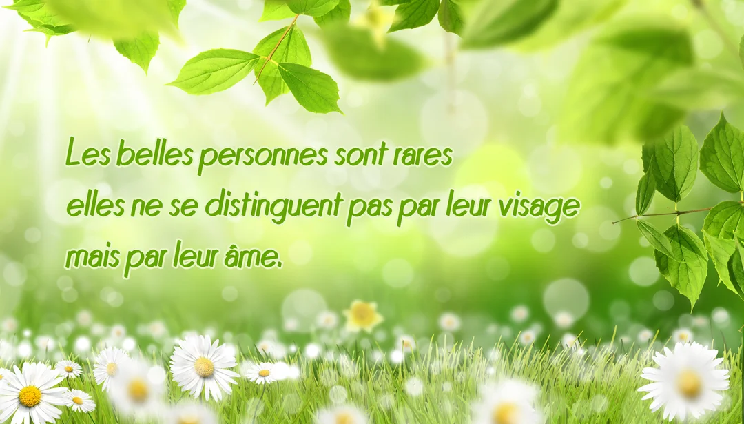 Une citation sur la beauté de l'âme est écrite sur un fond naturel et ensoleillé avec des marguerites blanches au premier plan.