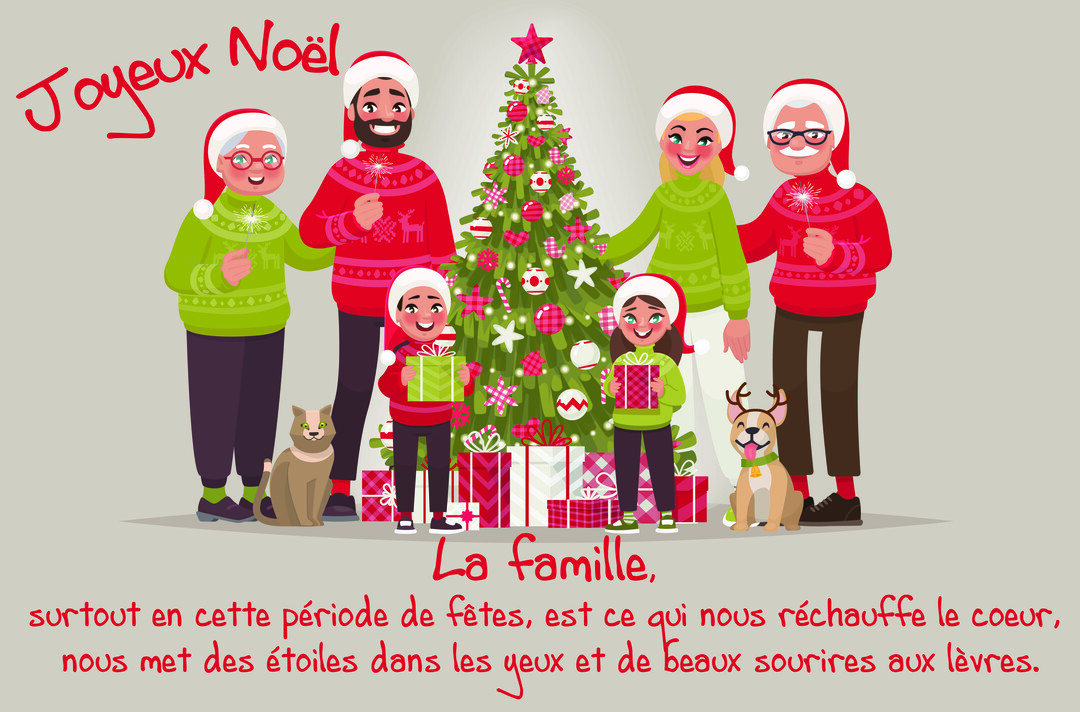 Une famille joyeuse de six personnes, grands-parents, parents et enfants, pose avec un chat et un chien devant un sapin de Noël.