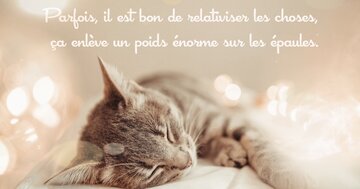 Aperçu de la carte : « Parfois, il est bon de relativiser les choses, ça enlève un poids énorme... »
