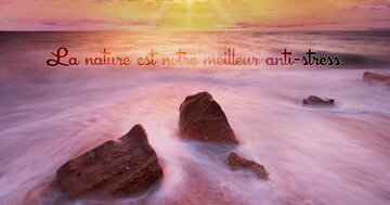 Aperçu de la carte : La nature est notre meilleur anti-stress.