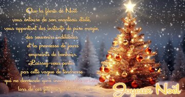 Aperçu de la carte : « Que la féerie de Noël vous entoure de son manteau étoilé, apportant magie... »