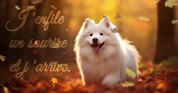 Aperçu de la carte : J 'enfile un sourire et j 'arrive.