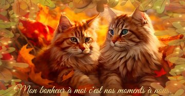 Aperçu de la carte : Mon bonheur à moi c'est nos moments à nous.