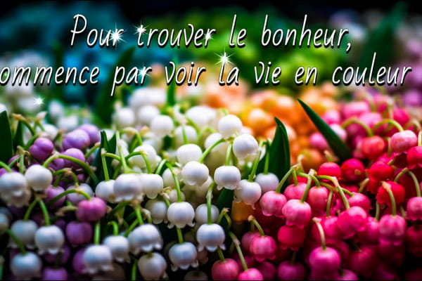 Carte Citation Bonheur : Voir la vie en couleur ! - JolieCarte