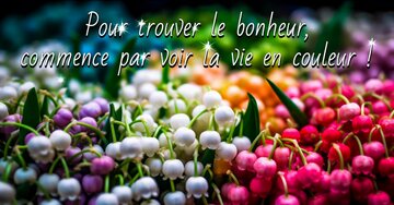 Aperçu de la carte : Pour trouver le bonheur, commence par voir la vie en couleur !