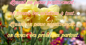 Aperçu de la carte : « Quand on pense positivement, on trouve des solutions à tout... »