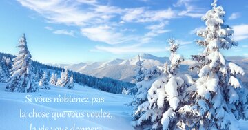 Aperçu de la carte : « Si vous n'obtenez pas ce que vous voulez, la vie vous donnera mieux... »