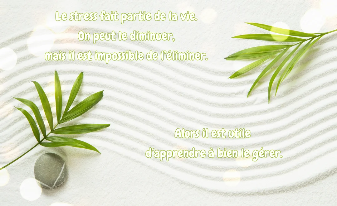 Une composition zen vue de dessus, montrant des feuilles de palmier et un galet posés sur du sable blanc ratissé en vagues.