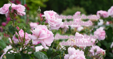 Aperçu de la carte : « Faire ce que tu aimes c'est la liberté, aimer ce que tu fais... »