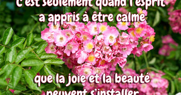 Aperçu de la carte : « C'est seulement quand l'esprit a appris à être calme... »