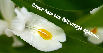 Aperçu de la carte : Coeur heureux fait visage épanoui.