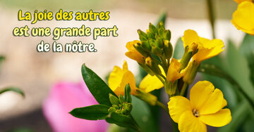 Aperçu de la carte : « La joie des autres est une grande part de la nôtre... »