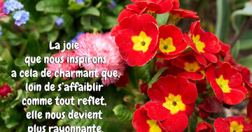 Aperçu de la carte : « La joie que nous inspirons a cela de charmant que... »