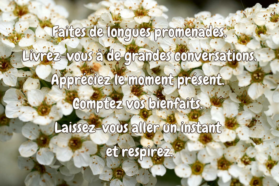 Une carte montrant un texte inspirant sur le bien-être, superposé à une photographie en gros plan de nombreuses petites fleurs blanches.
