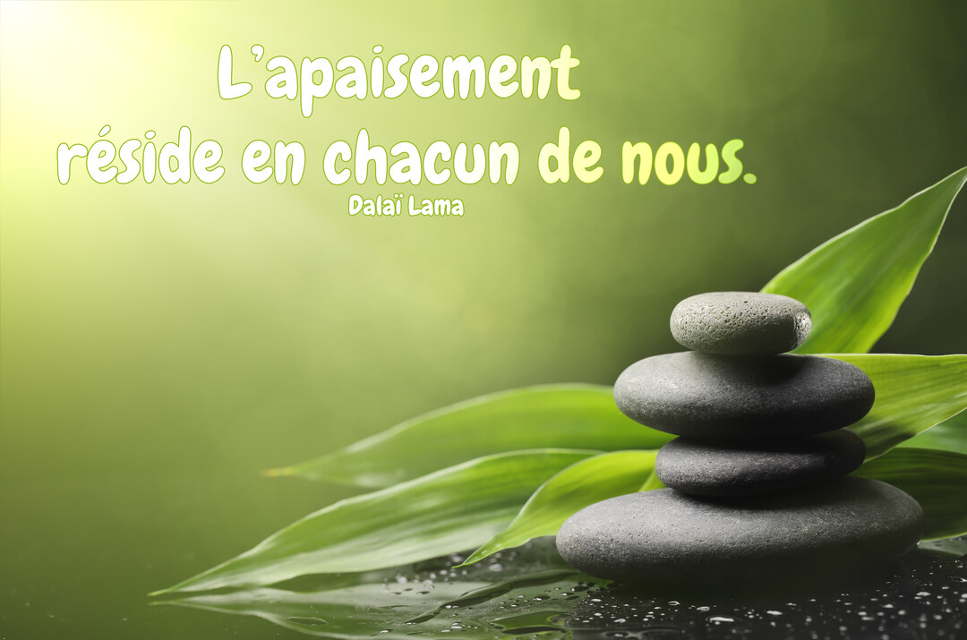 Une pyramide de galets gris repose devant des feuilles de bambou vertes sur une surface noire réfléchissante, avec une lumière douce.