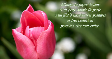 Aperçu de la carte : « Change ta façon de voir et ouvre la porte à des énergies positives... »