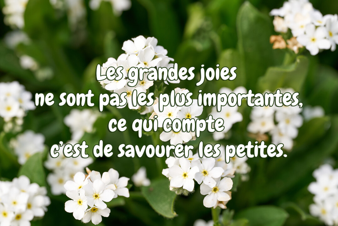 Une citation inspirante sur la joie est superposée sur une photographie en gros plan de délicates petites fleurs blanches au cœur jaune et feuillage vert.