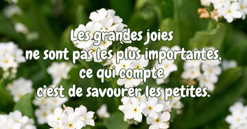 Aperçu de la carte : « Les grandes joies ne sont pas les plus importantes, ce qui compte c'est de savourer... »