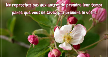 Aperçu de la carte : « Ne reprochez pas aux autres de prendre leur temps... »