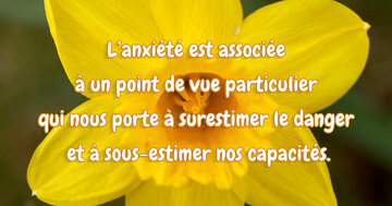 Aperçu de la carte : « L'anxiété nous porte à surestimer le danger et sous-estimer nos capacités... »