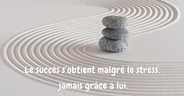 Aperçu de la carte : Le succès s'obtient malgré le stress, 
jamais grâce à lui.