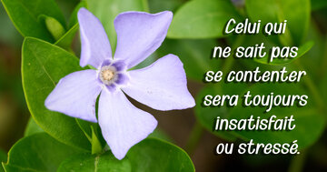 Aperçu de la carte : « Celui qui ne sait pas se contenter... »