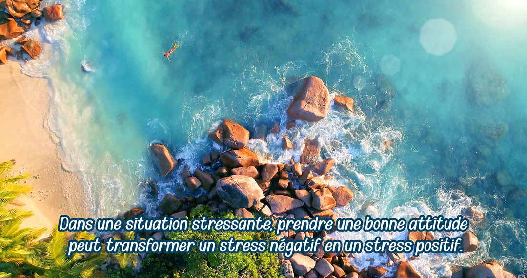 Vue plongeante sur une plage tropicale où une personne flotte sereinement sur une eau turquoise, près de rochers et de sable fin.